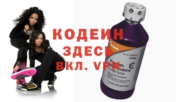 мяу мяу мука Иннополис
