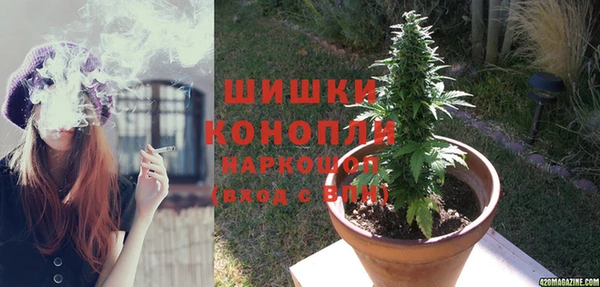 прущие грибы Кущёвская