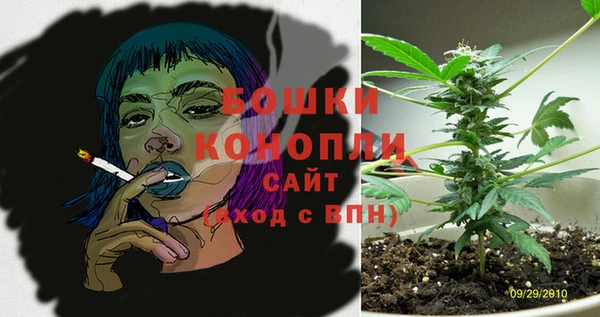 прущие грибы Кущёвская