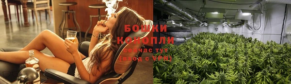 молекула духа Зеленодольск