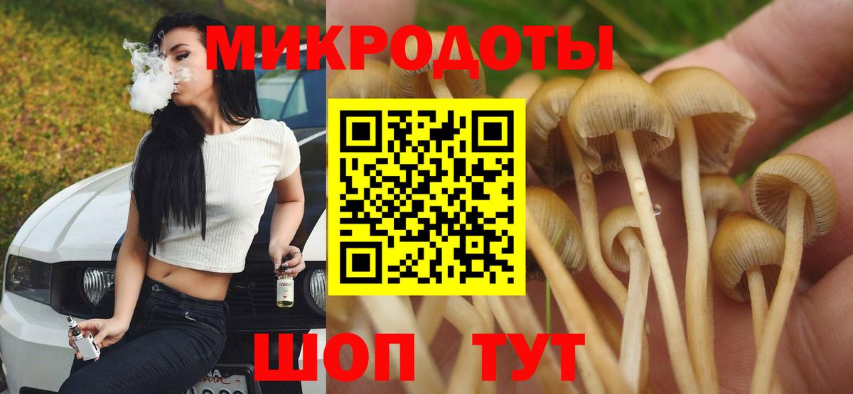 как найти   Вход с VPN  Ижевск  Псилоцибиновые грибы мухоморы 