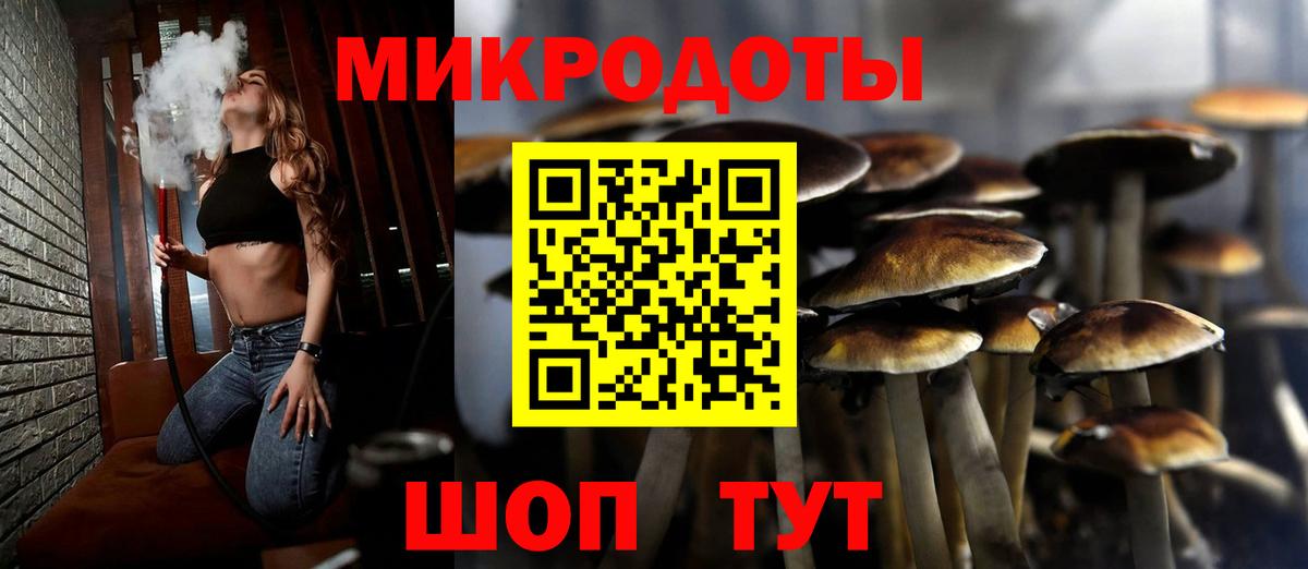 Меф Ижевск