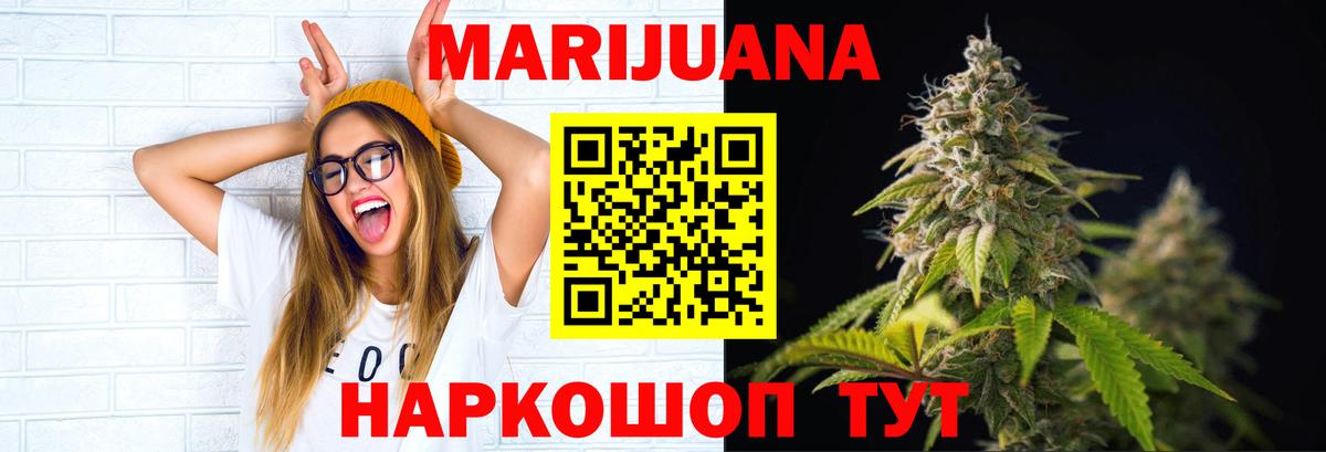 Конопля сатива  МАРИХУАНА Bruce Banner  Ижевск  Конопля Amnesia  Шишки марихуана Amnesia 